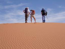 Odyssey Challenging Cancer Sahara Walk