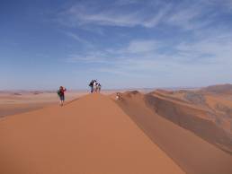 Odyssey Challenging Cancer Sahara Walk