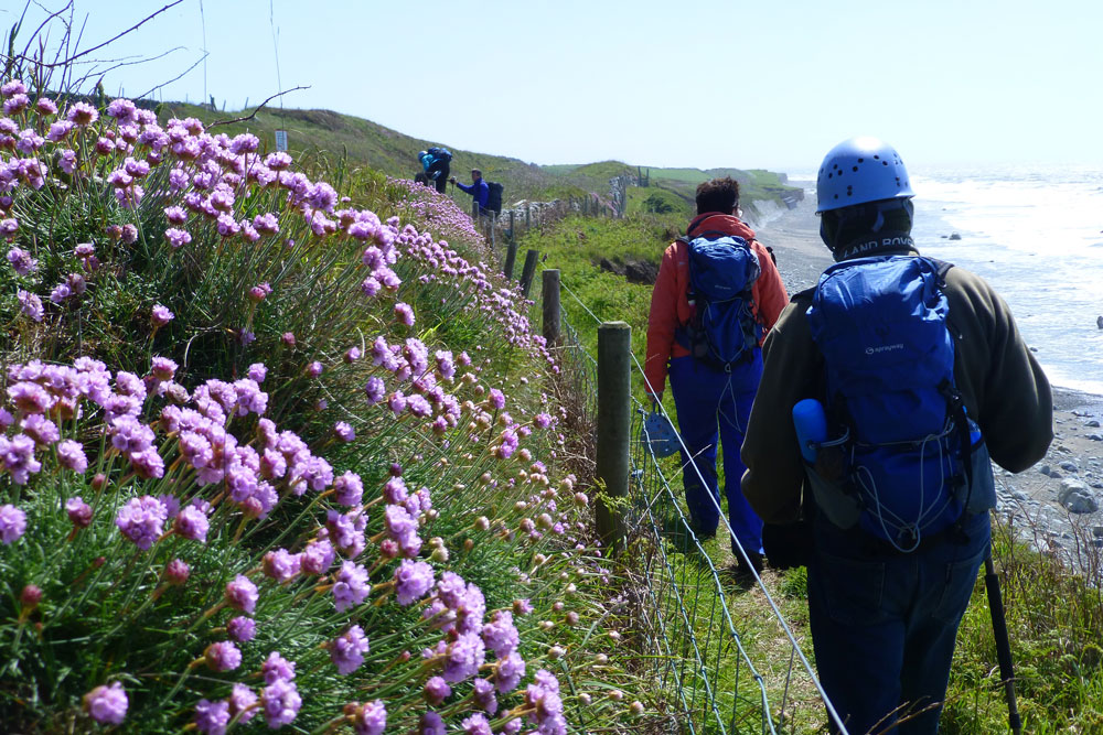 The Odyssey Project course